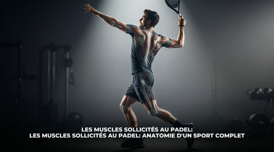Les muscles sollicités au padel : anatomie d'un sport complet