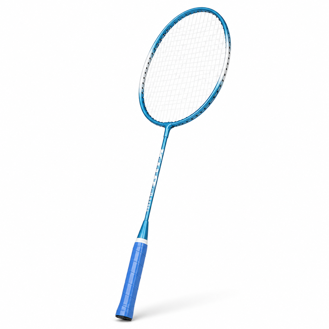Paire Raquettes Badminton Adulte Légères avec Housse de Transport